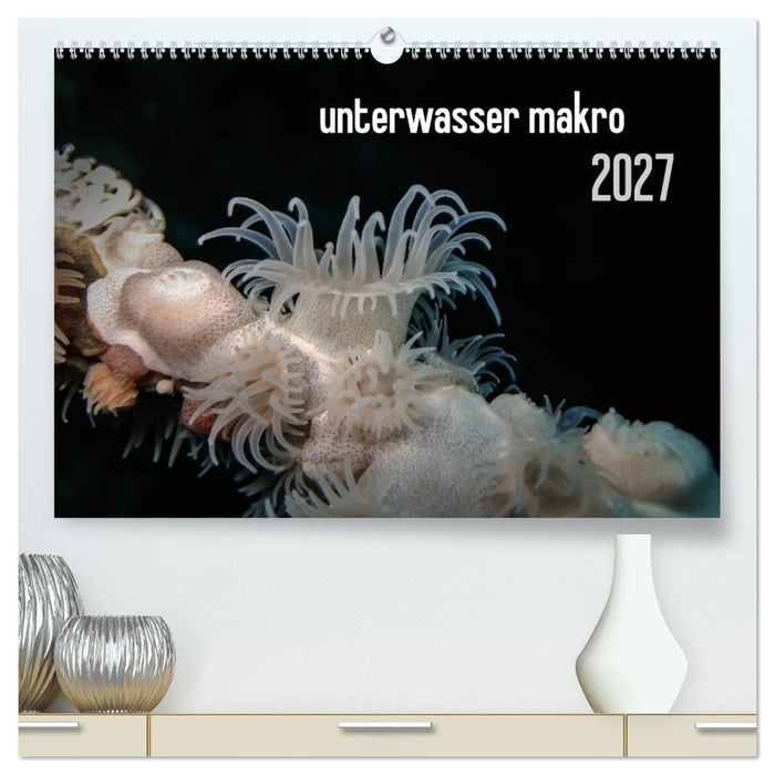 unterwasser makro 2027 (CALVENDO Premium Wandkalender 2027)