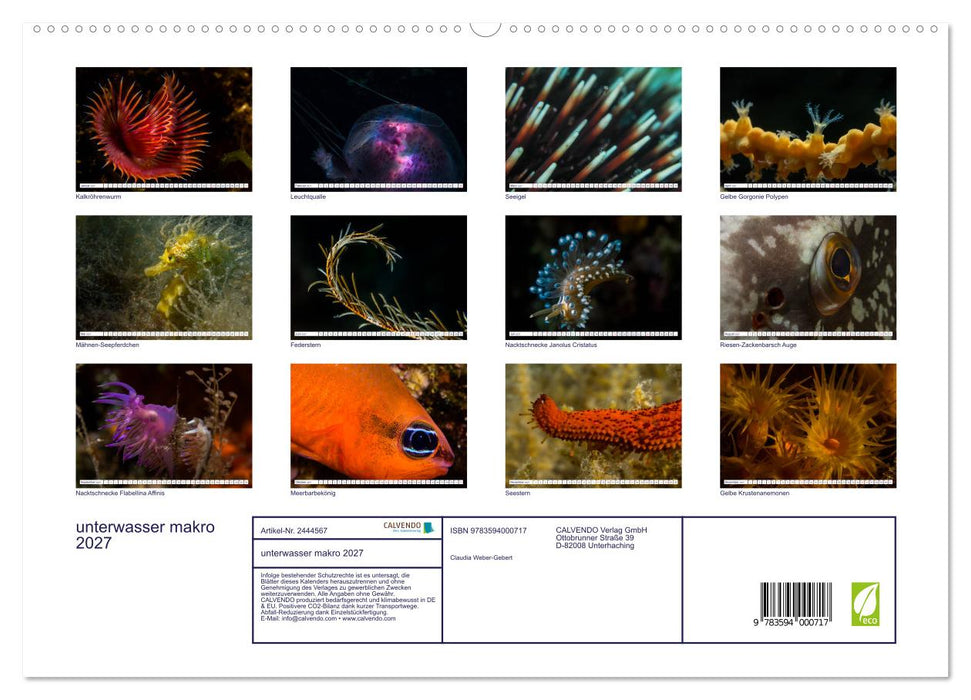 unterwasser makro 2027 (CALVENDO Premium Wandkalender 2027)
