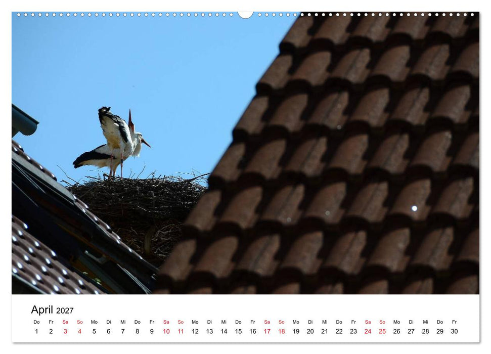 Impressionen vom Kaiserstuhl (CALVENDO Premium Wandkalender 2027)