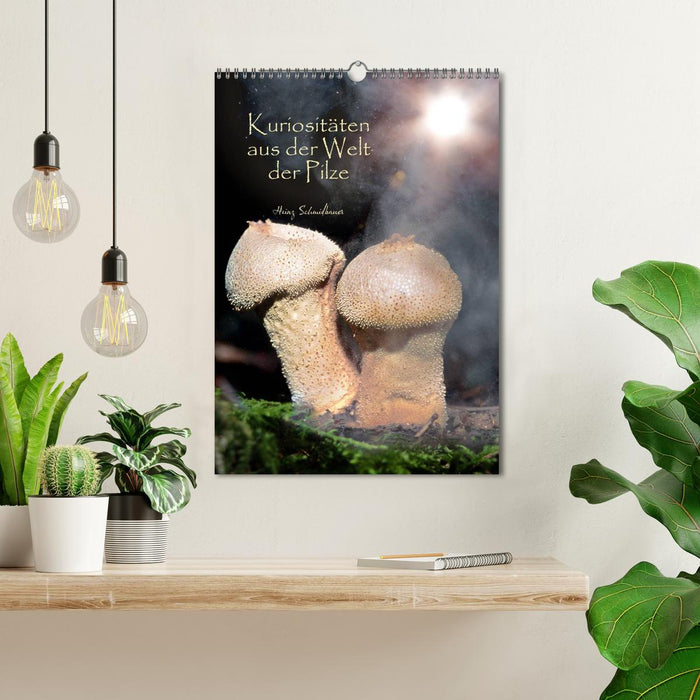 Kuriositäten aus der Welt der Pilze (CALVENDO Wandkalender 2027)