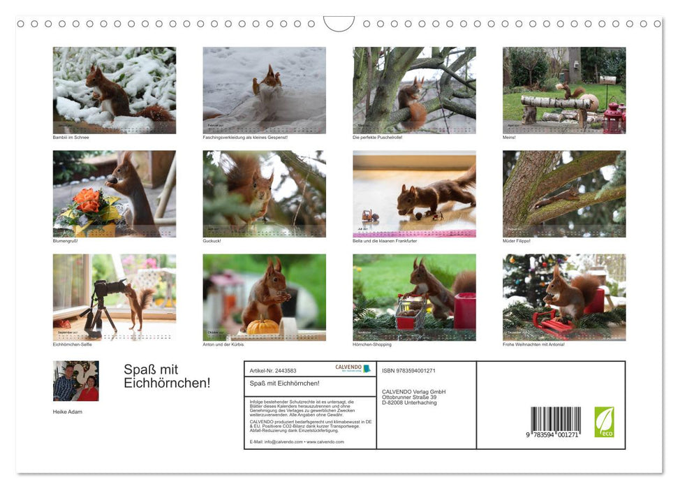 Spaß mit Eichhörnchen! (CALVENDO Wandkalender 2027)