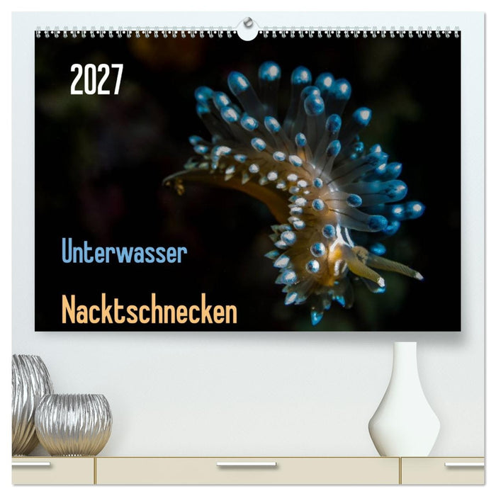 Unterwasser - Nacktschnecken 2027 (CALVENDO Premium Wandkalender 2027)