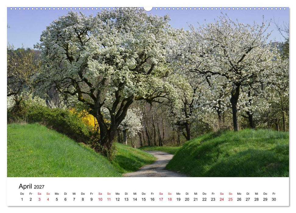 Zauberhaftes Remstal (CALVENDO Wandkalender 2027)