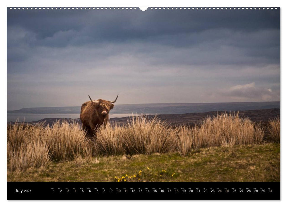 FASCINATING LANDSCAPES SCOTLAND (CALVENDO Premium-Calendar 2027)