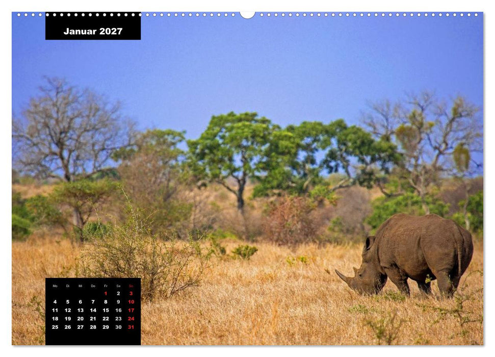 Blickpunkte des Südlichen Afrika (CALVENDO Premium Wandkalender 2027)