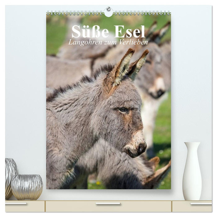 Süße Esel. Langohren zum Verlieben (CALVENDO Premium Wandkalender 2027)