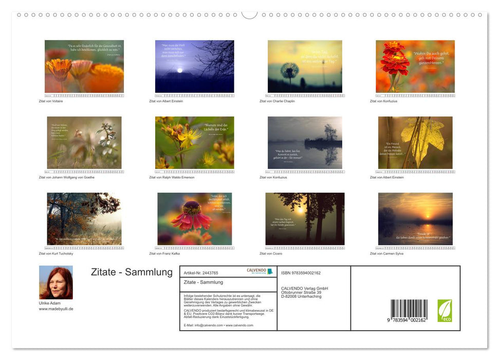 Zitate - Sammlung (CALVENDO Premium Wandkalender 2027)