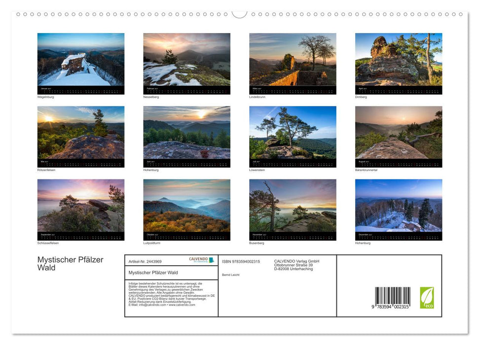 Mystischer Pfälzer Wald (CALVENDO Premium Wandkalender 2027)