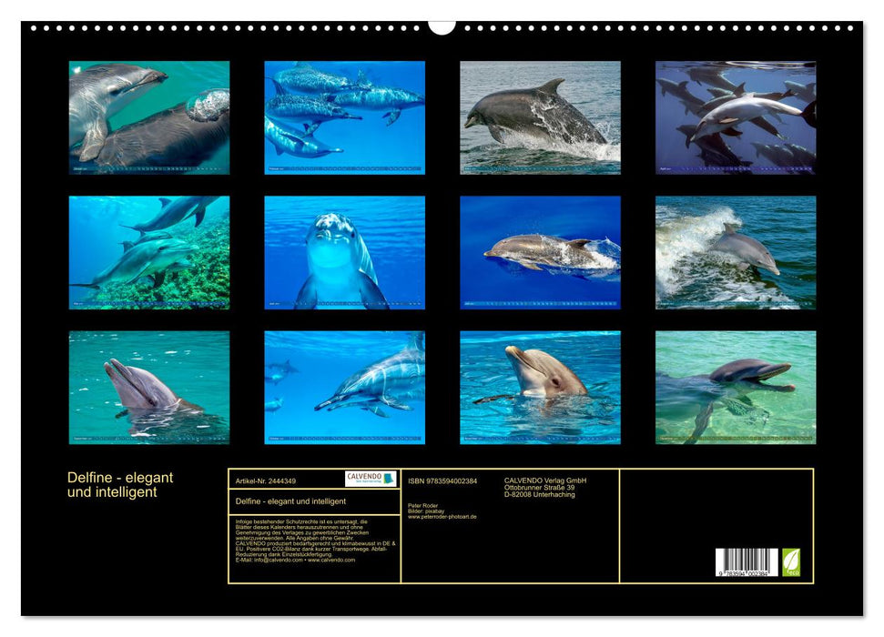 Delfine - elegant und intelligent (CALVENDO Wandkalender 2027)