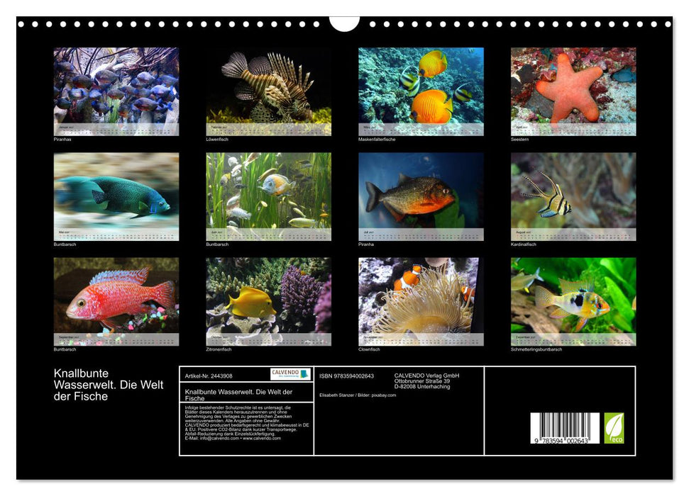 Knallbunte Wasserwelt. Die Welt der Fische (CALVENDO Wandkalender 2027)