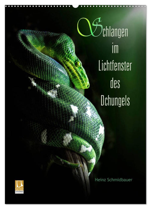 Schlangen im Lichtfenster des Dschungels (CALVENDO Wandkalender 2027)