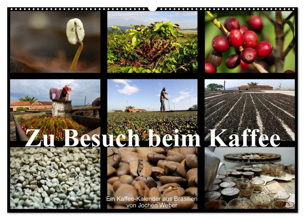 Zu Besuch beim Kaffee (CALVENDO Wandkalender 2027)