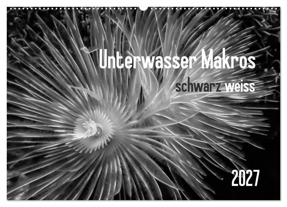 Unterwasser Makros - schwarz weiss 2027 (CALVENDO Wandkalender 2027)