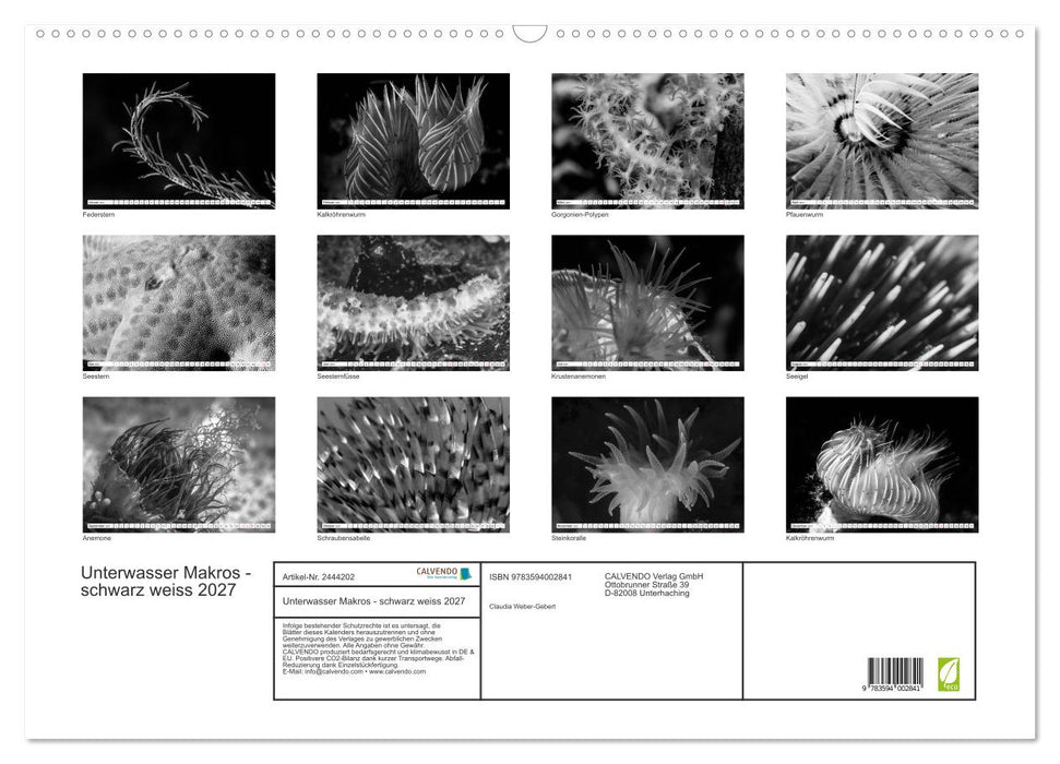 Unterwasser Makros - schwarz weiss 2027 (CALVENDO Wandkalender 2027)