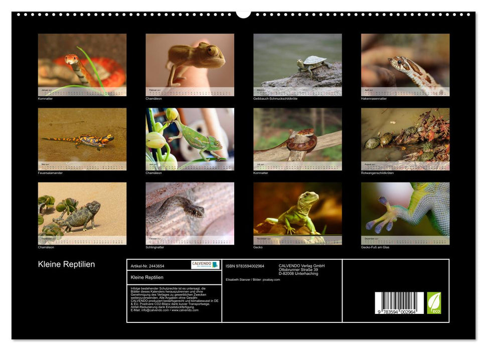 Kleine Reptilien (CALVENDO Premium Wandkalender 2027)