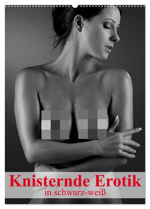 Knisternde Erotik in schwarz-weiß (CALVENDO Wandkalender 2027)