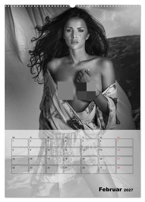 Knisternde Erotik in schwarz-weiß (CALVENDO Wandkalender 2027)