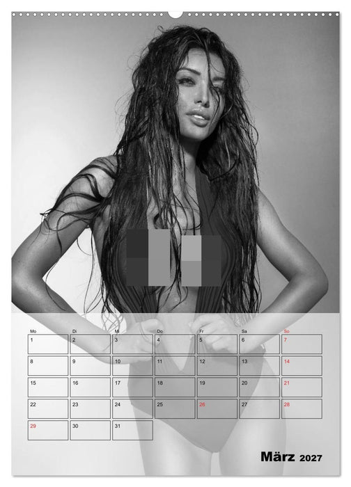 Knisternde Erotik in schwarz-weiß (CALVENDO Wandkalender 2027)