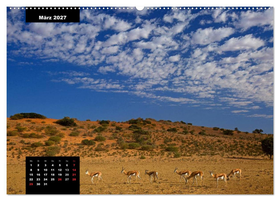 Blickpunkte des Südlichen Afrika (CALVENDO Wandkalender 2027)