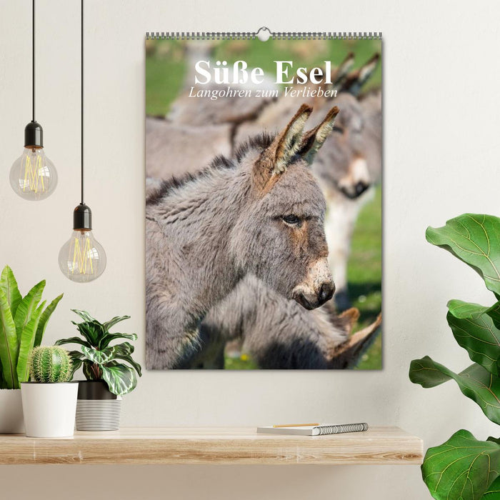 Süße Esel. Langohren zum Verlieben (CALVENDO Wandkalender 2027)