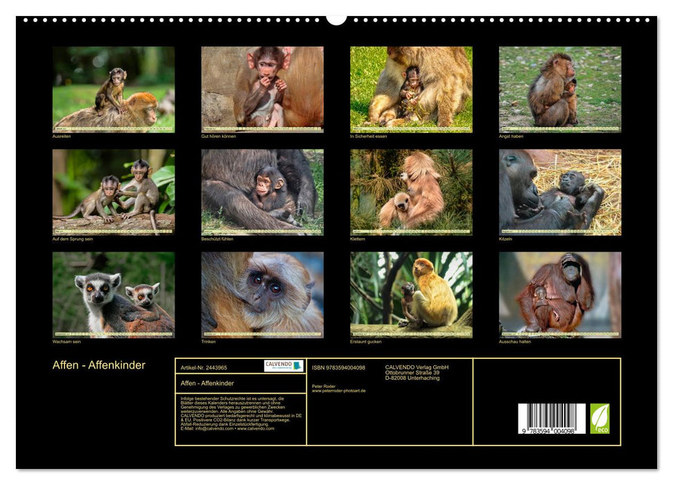 Affen - Affenkinder (CALVENDO Premium Wandkalender 2027)