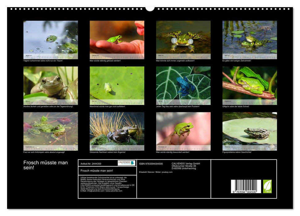 Frosch müsste man sein! (CALVENDO Premium Wandkalender 2027)