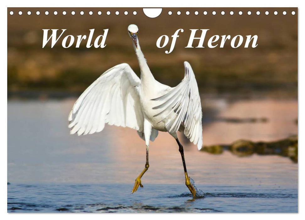 World of Heron (CALVENDO Monthly Calendar 2027)