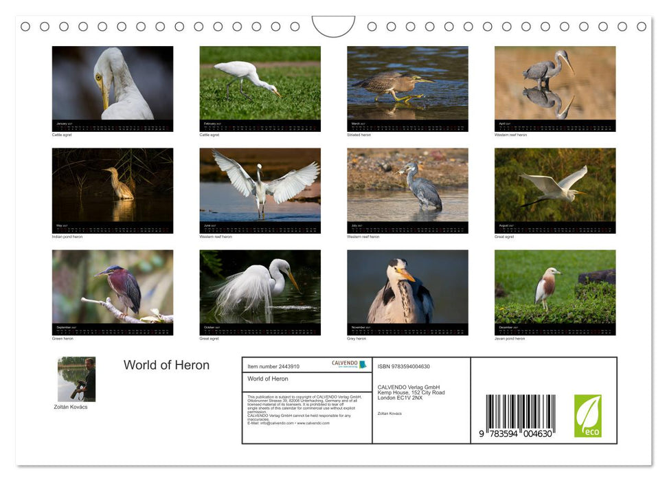 World of Heron (CALVENDO Monthly Calendar 2027)