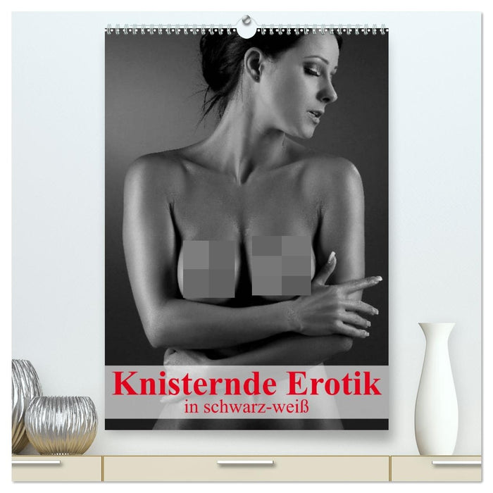 Knisternde Erotik in schwarz-weiß (CALVENDO Premium Wandkalender 2027)