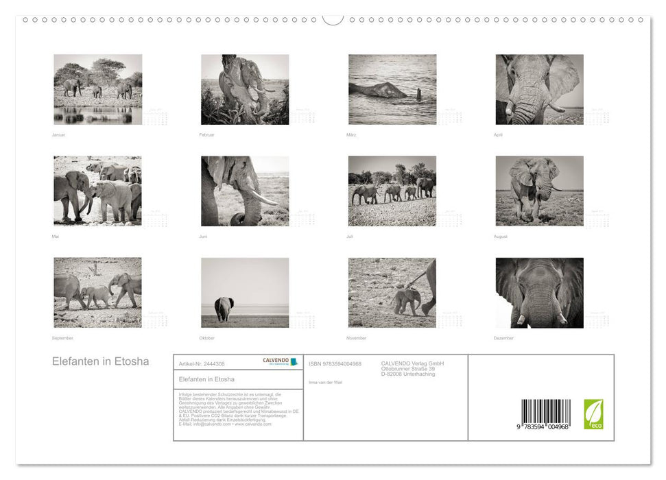 Elefanten in Etosha (CALVENDO Premium Wandkalender 2027)