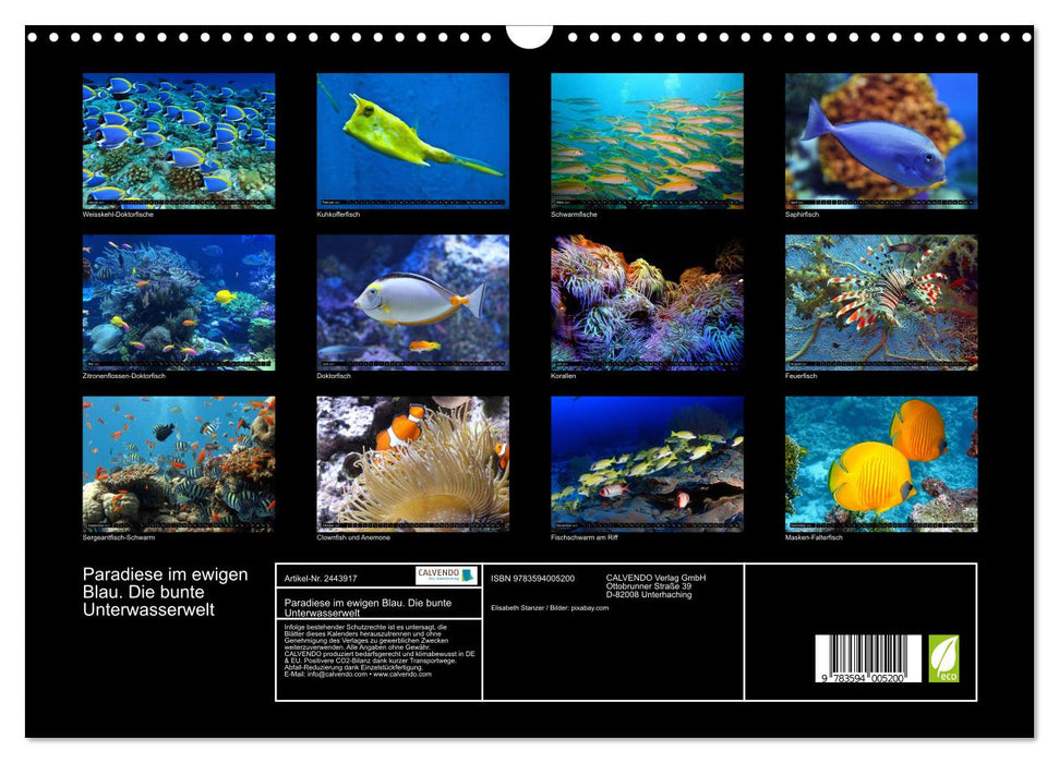 Paradiese im ewigen Blau. Die bunte Unterwasserwelt (CALVENDO Wandkalender 2027)