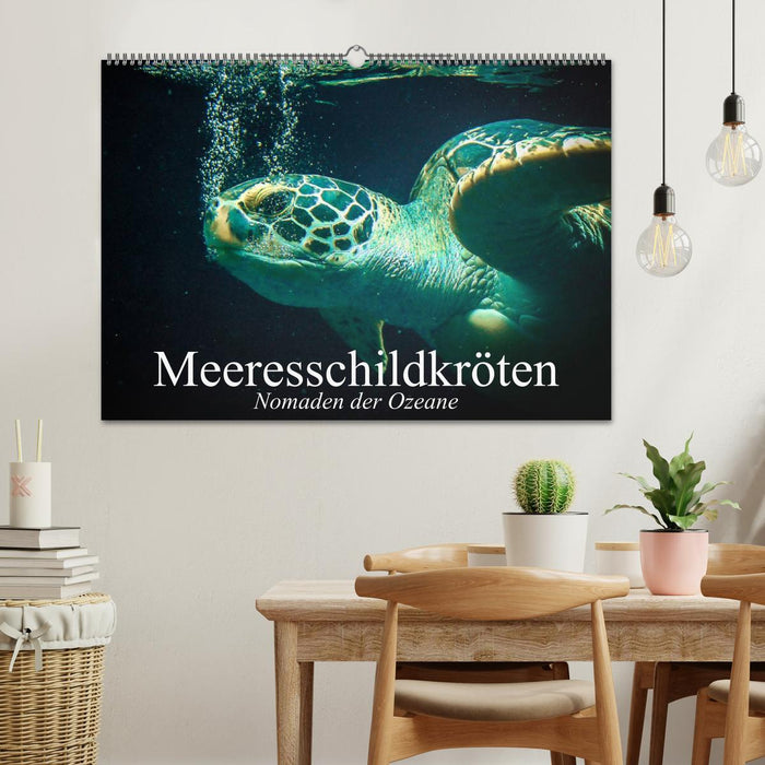 Meeresschildkröten. Nomaden der Ozeane (CALVENDO Wandkalender 2027)