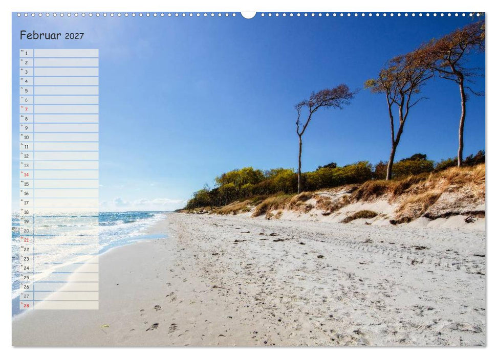 Lichtspiele auf der Halbinsel Darß (CALVENDO Premium Wandkalender 2027)