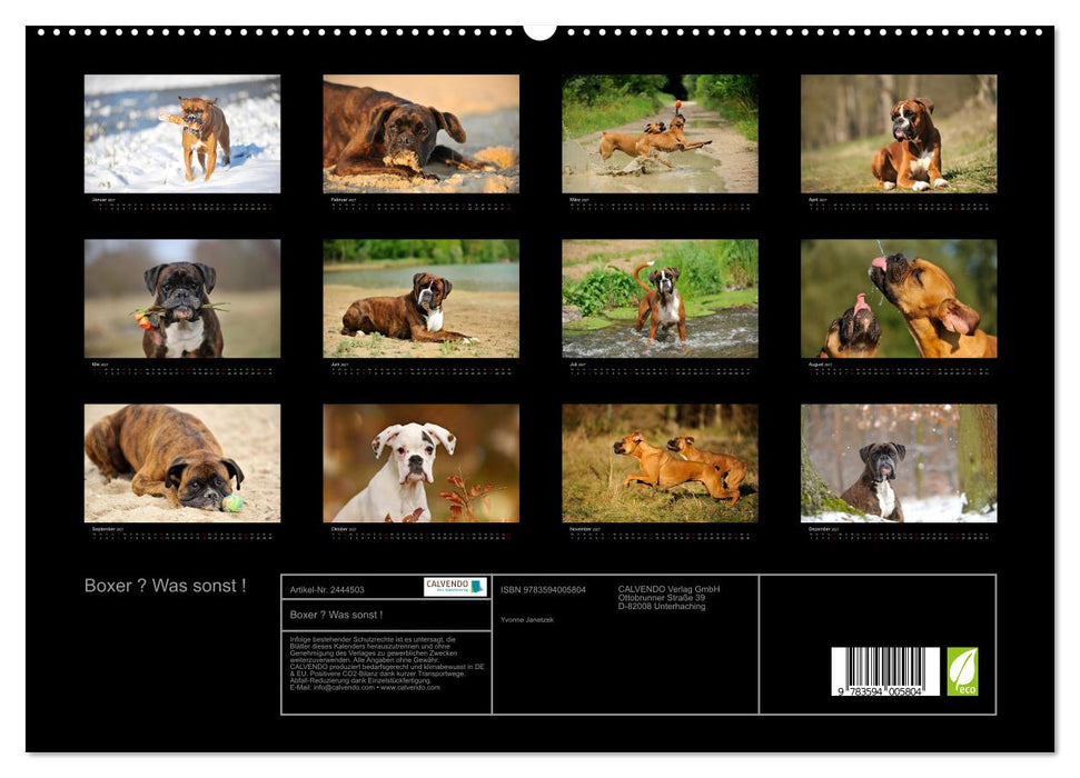 Boxer ? Was sonst ! (CALVENDO Premium Wandkalender 2027)