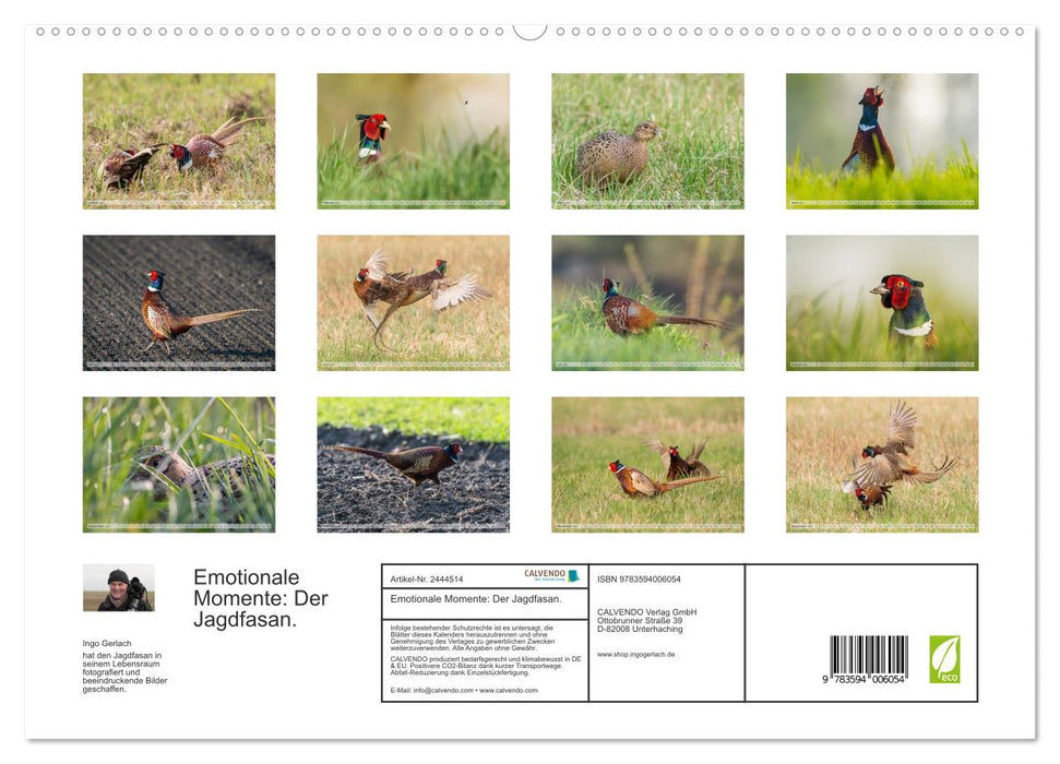 Emotionale Momente: Der Jagdfasan. (CALVENDO Premium Wandkalender 2027)