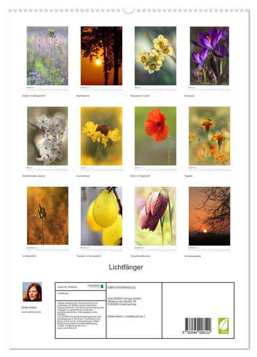 Lichtfänger (CALVENDO Premium Wandkalender 2027)