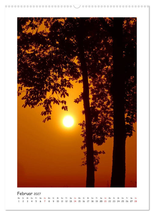 Lichtfänger (CALVENDO Premium Wandkalender 2027)