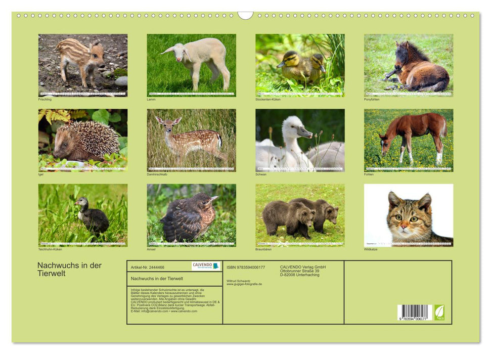Nachwuchs in der Tierwelt (CALVENDO Wandkalender 2027)