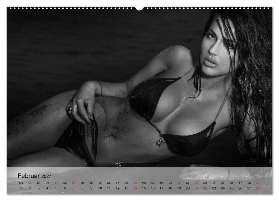 Pure Erotik. Emotionale Momente der Verführung (CALVENDO Wandkalender 2027)