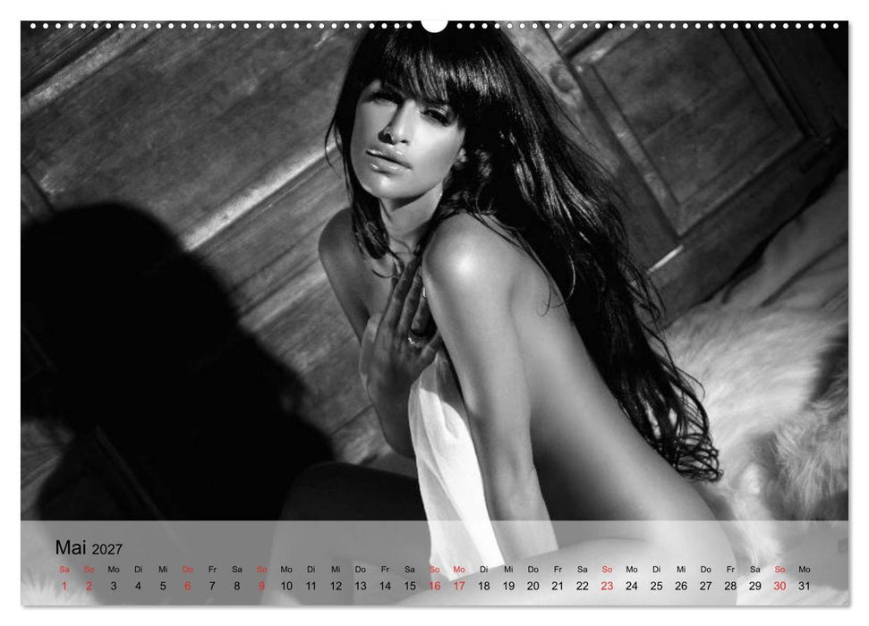 Pure Erotik. Emotionale Momente der Verführung (CALVENDO Wandkalender 2027)
