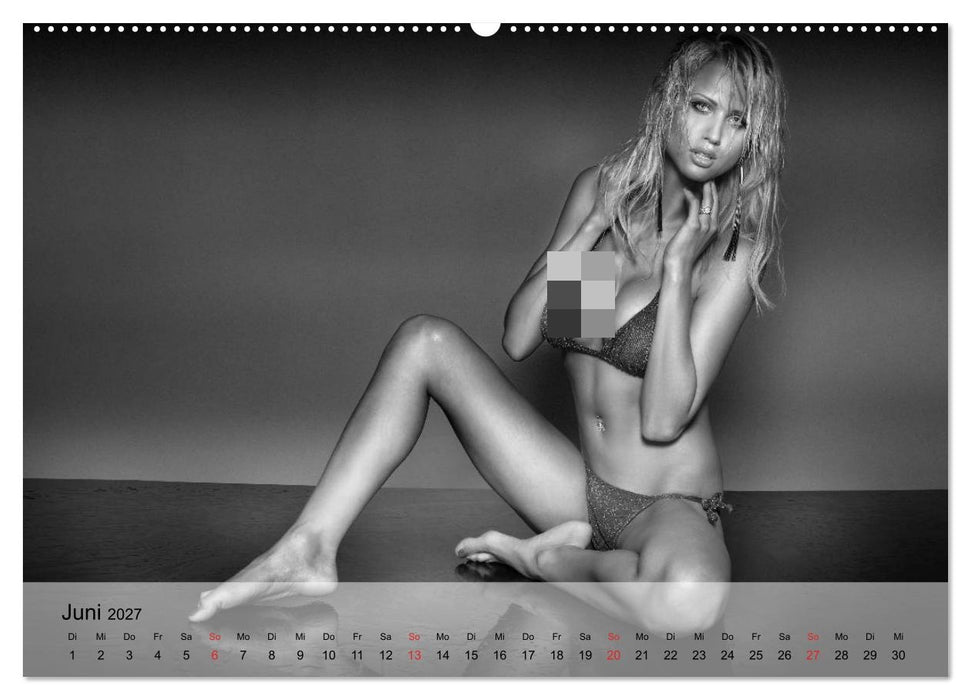 Pure Erotik. Emotionale Momente der Verführung (CALVENDO Wandkalender 2027)
