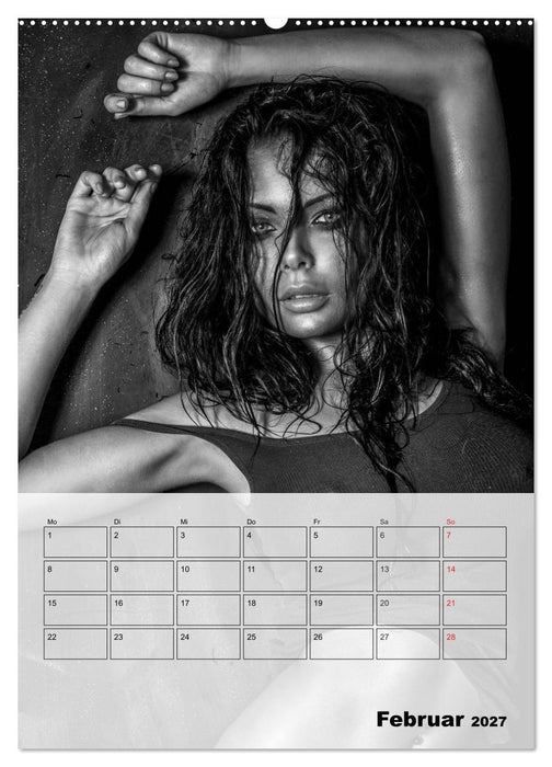 Erotisches Erlebnis. Sexy und heiß (CALVENDO Premium Wandkalender 2027)