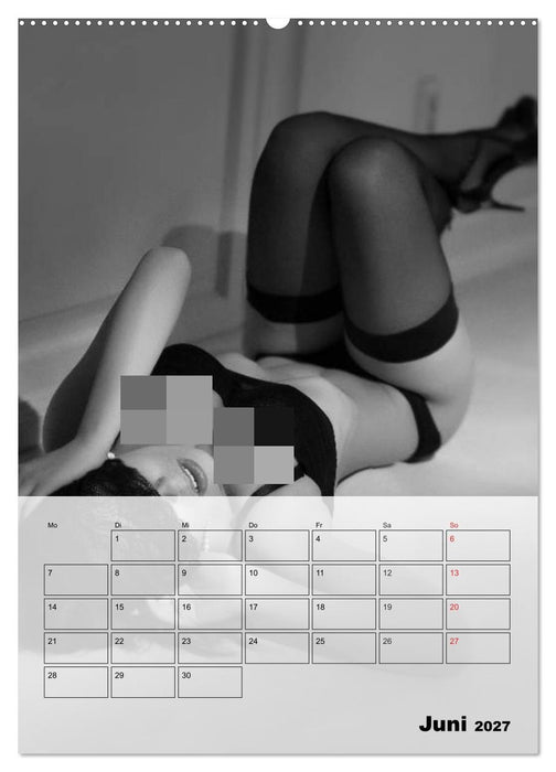 Erotisches Erlebnis. Sexy und heiß (CALVENDO Premium Wandkalender 2027)