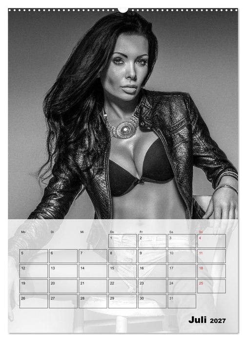 Erotisches Erlebnis. Sexy und heiß (CALVENDO Premium Wandkalender 2027)