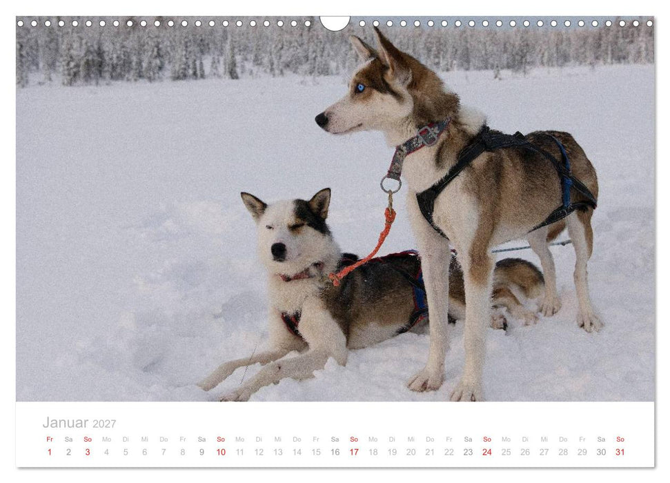 Heimat der Samen (CALVENDO Wandkalender 2027)