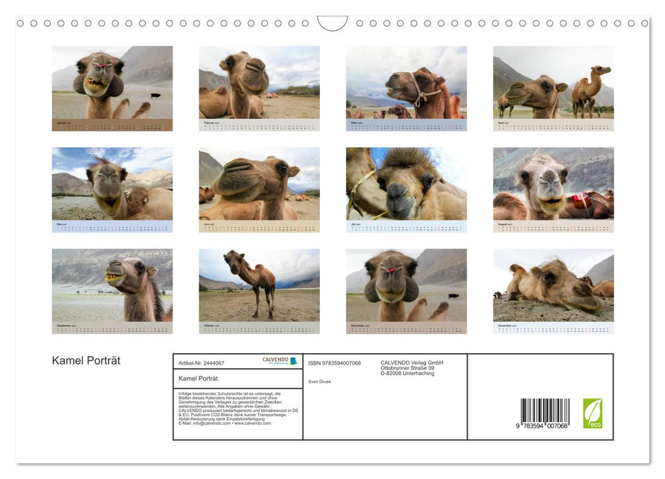 Kamel Porträt (CALVENDO Wandkalender 2027)