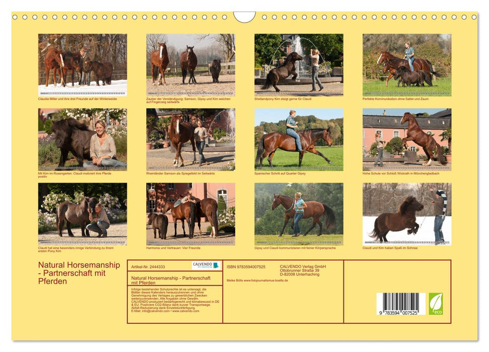 Natural Horsemanship - Partnerschaft mit Pferden (CALVENDO Wandkalender 2027)