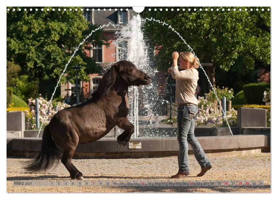 Natural Horsemanship - Partnerschaft mit Pferden (CALVENDO Wandkalender 2027)