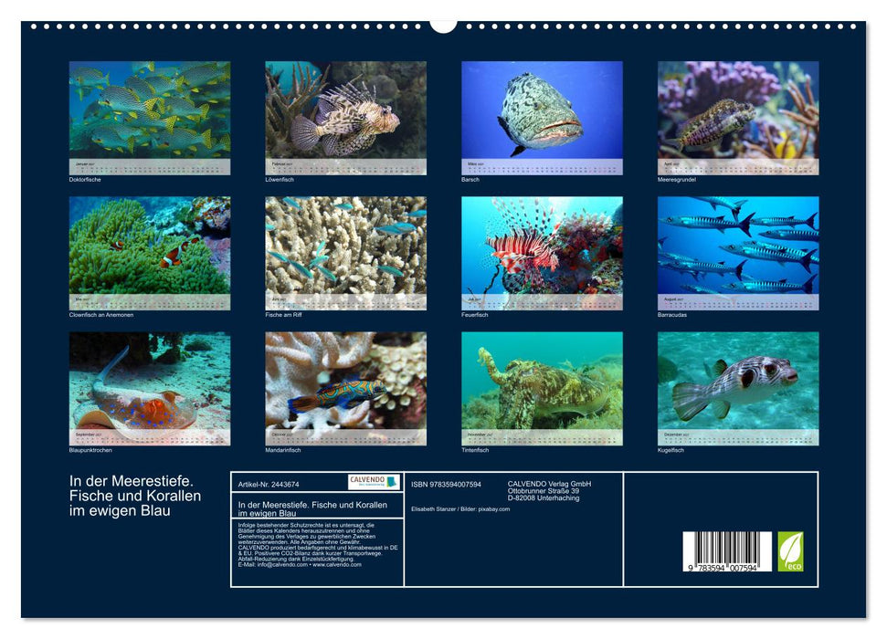 In der Meerestiefe. Fische und Korallen im ewigen Blau (CALVENDO Premium Wandkalender 2027)