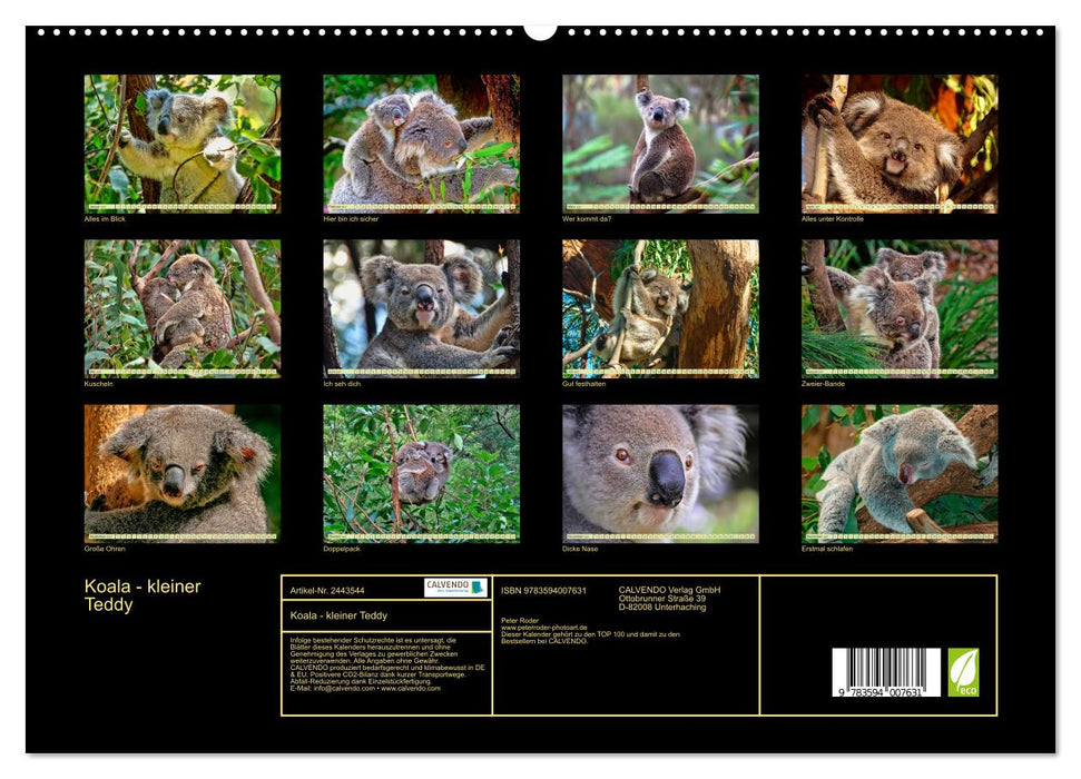 Koala - kleiner Teddy (CALVENDO Premium Wandkalender 2027)